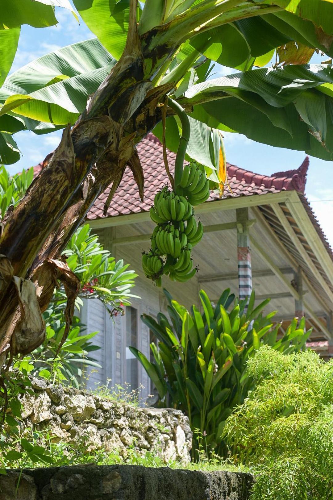 Hotel Mesari Hut Lembongan Zewnętrze zdjęcie